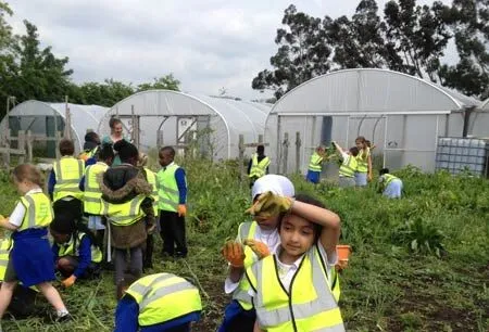 Children wearing high-visibility vests work in a garden near greenhouses. Some are tending plants, while others are gathered in groups. Trees and more greenery are in the background.