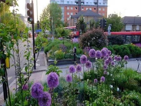 Urban garden with purple allium flowers in the foreground, city street, red double-decker bus, and buildings in the background.