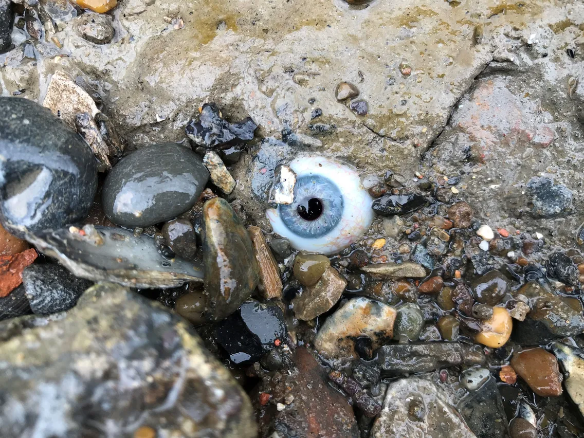 A realistic blue glass eye lies among wet rocks, pebbles, and mud.