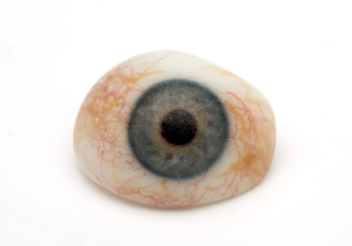 A realistic prosthetic eye with detailed iris and red vein patterns is displayed against a white background.
