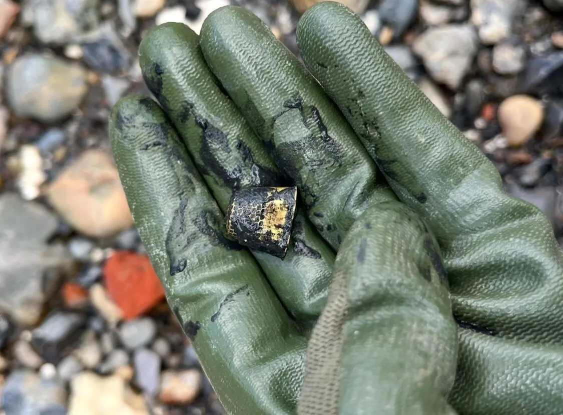 A hand holding an assortment of small, rusty metal objects, including nails, rings, buttons, and wire.
