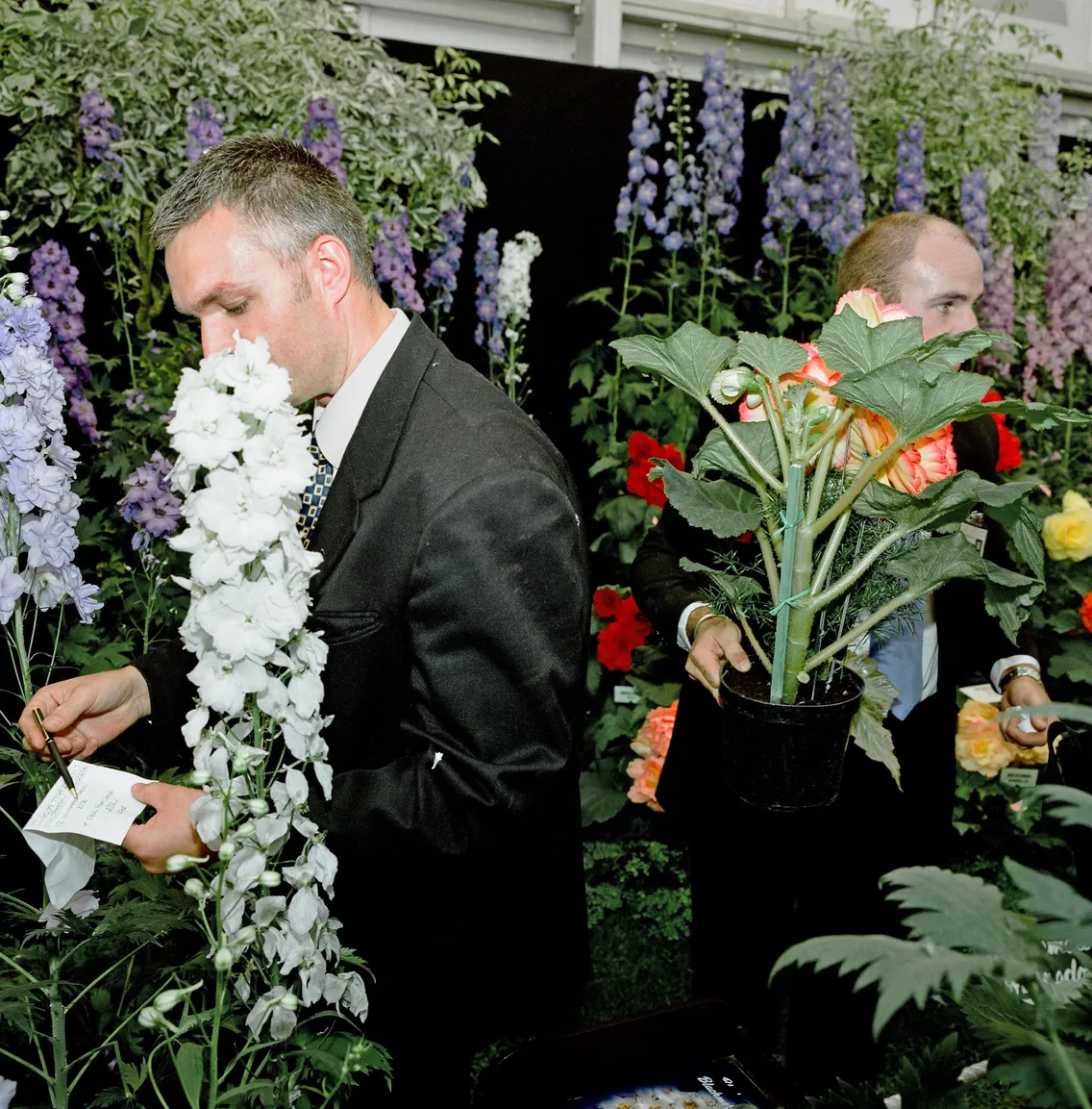 Two men in suits arranging flowers at a floral exhibition, one examining a tag on a white flower, surrounded by various colorful blooms.