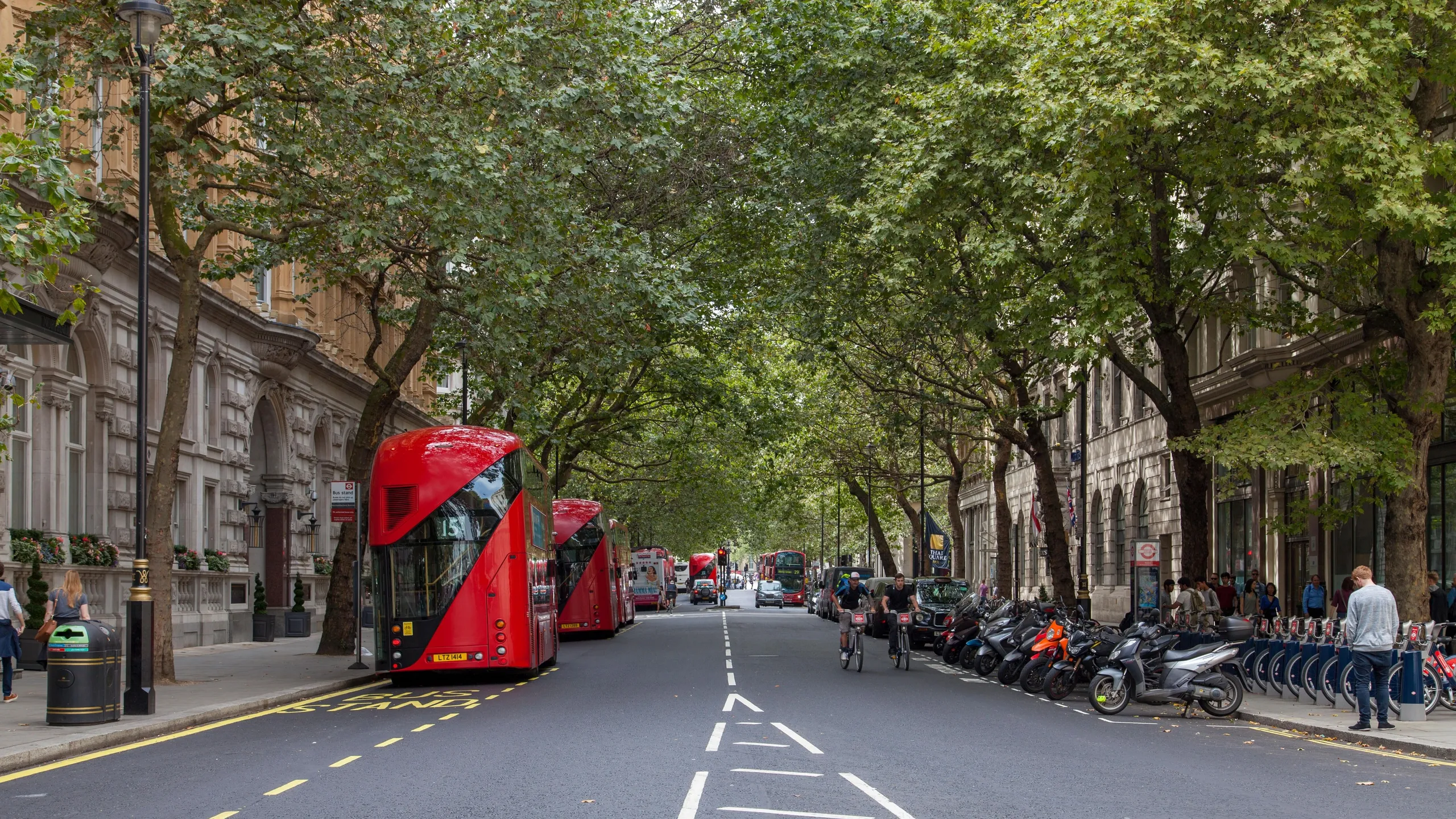 2A4F8A4 New Routemaster buses under the Plane tree canpoy of Northumberland Avenue, London SW1