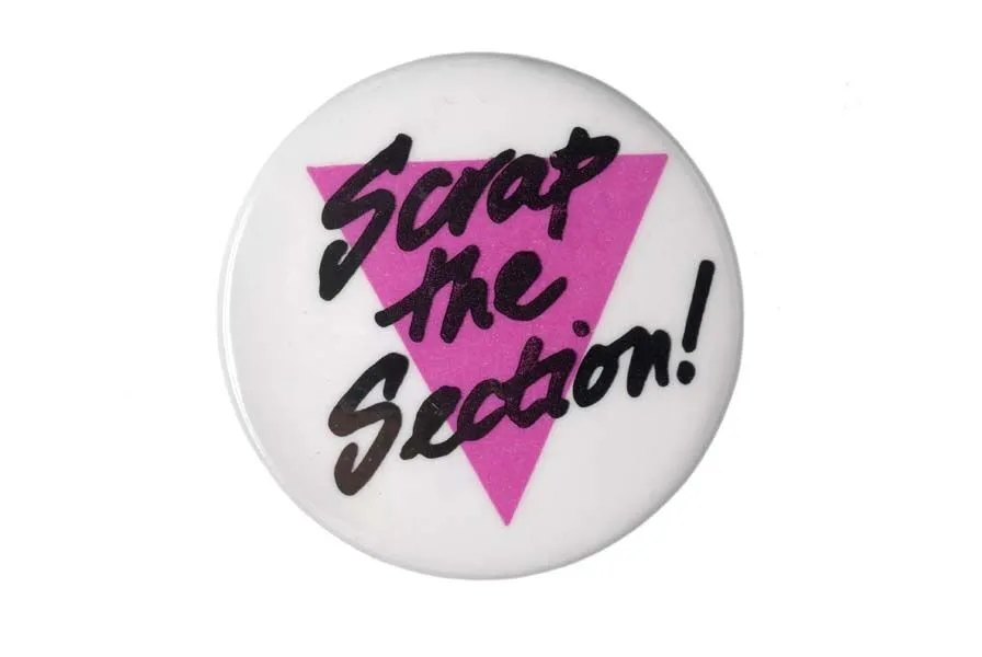 A white button featuring the text "scrap the section!" in black over a pink triangle.
