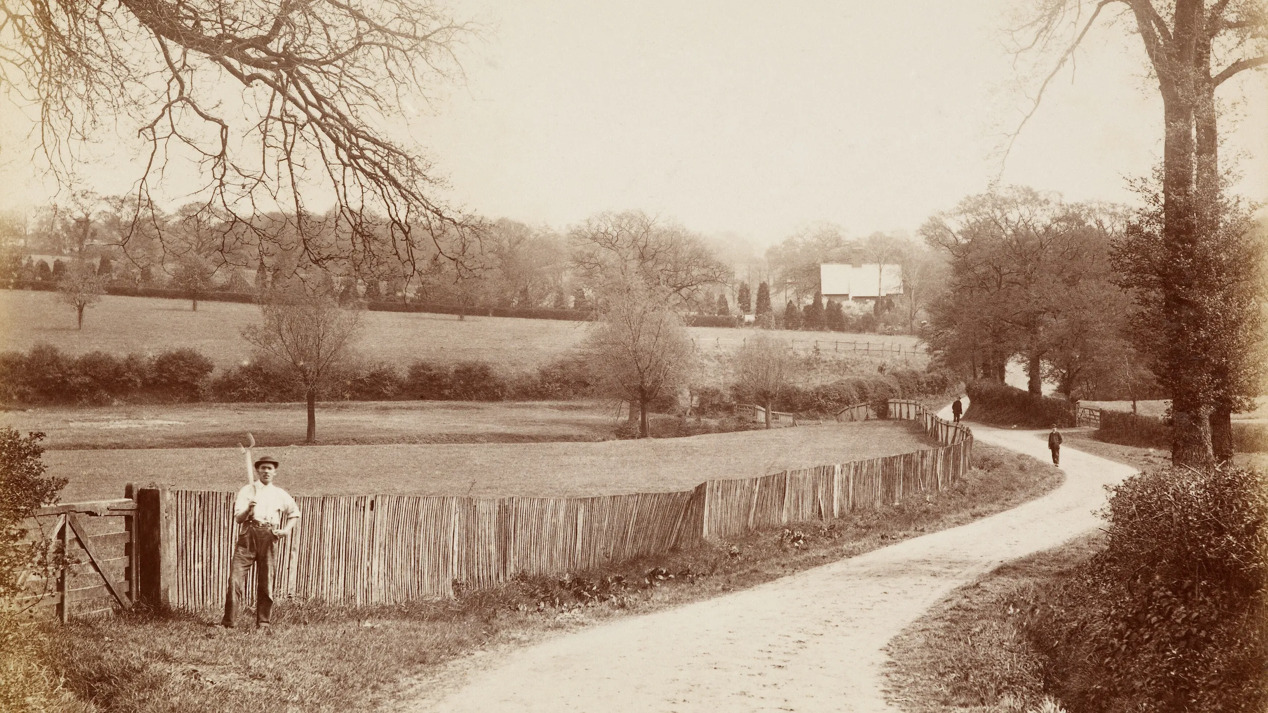 photograph, albumen print