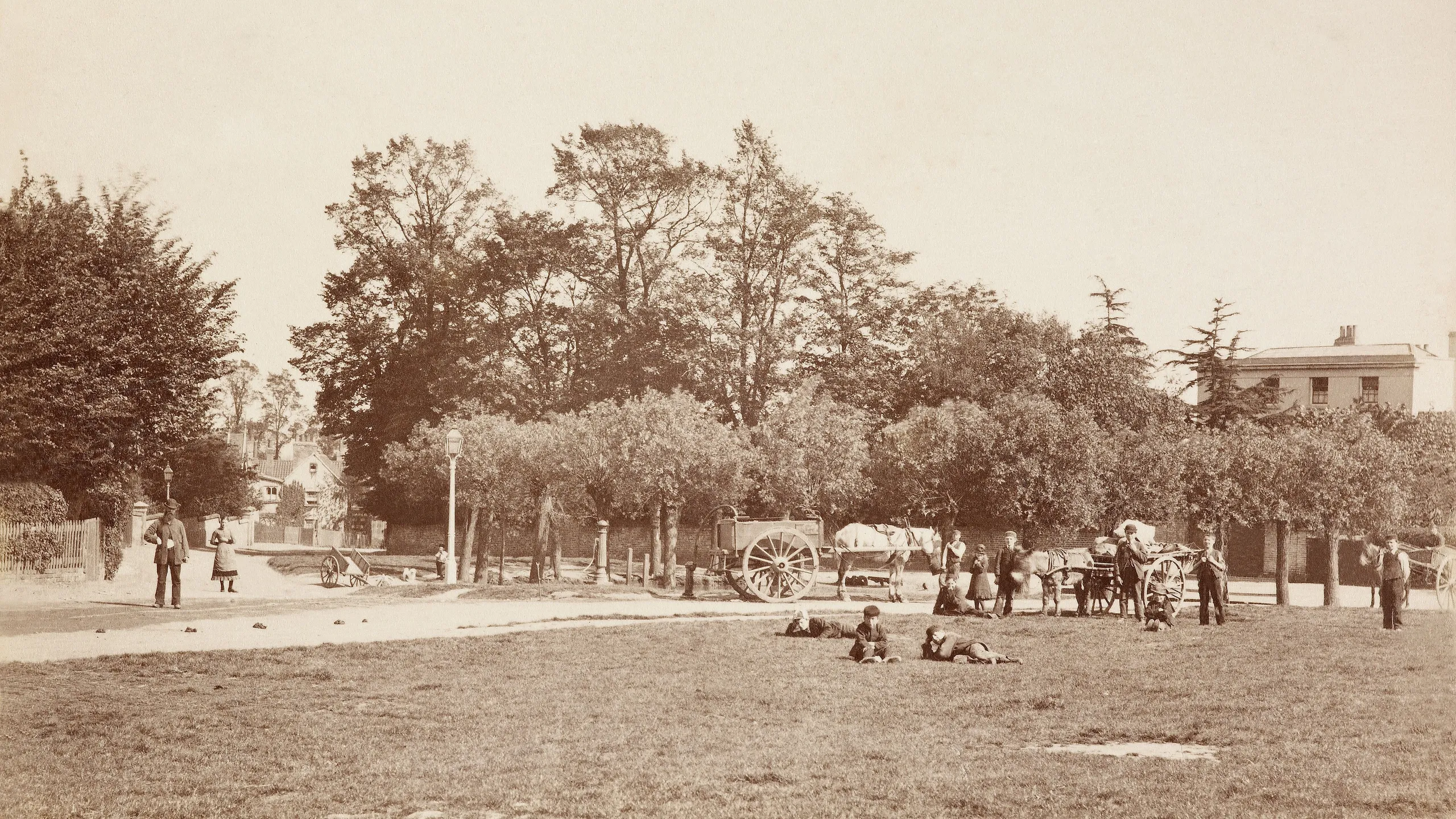 photograph, albumen print