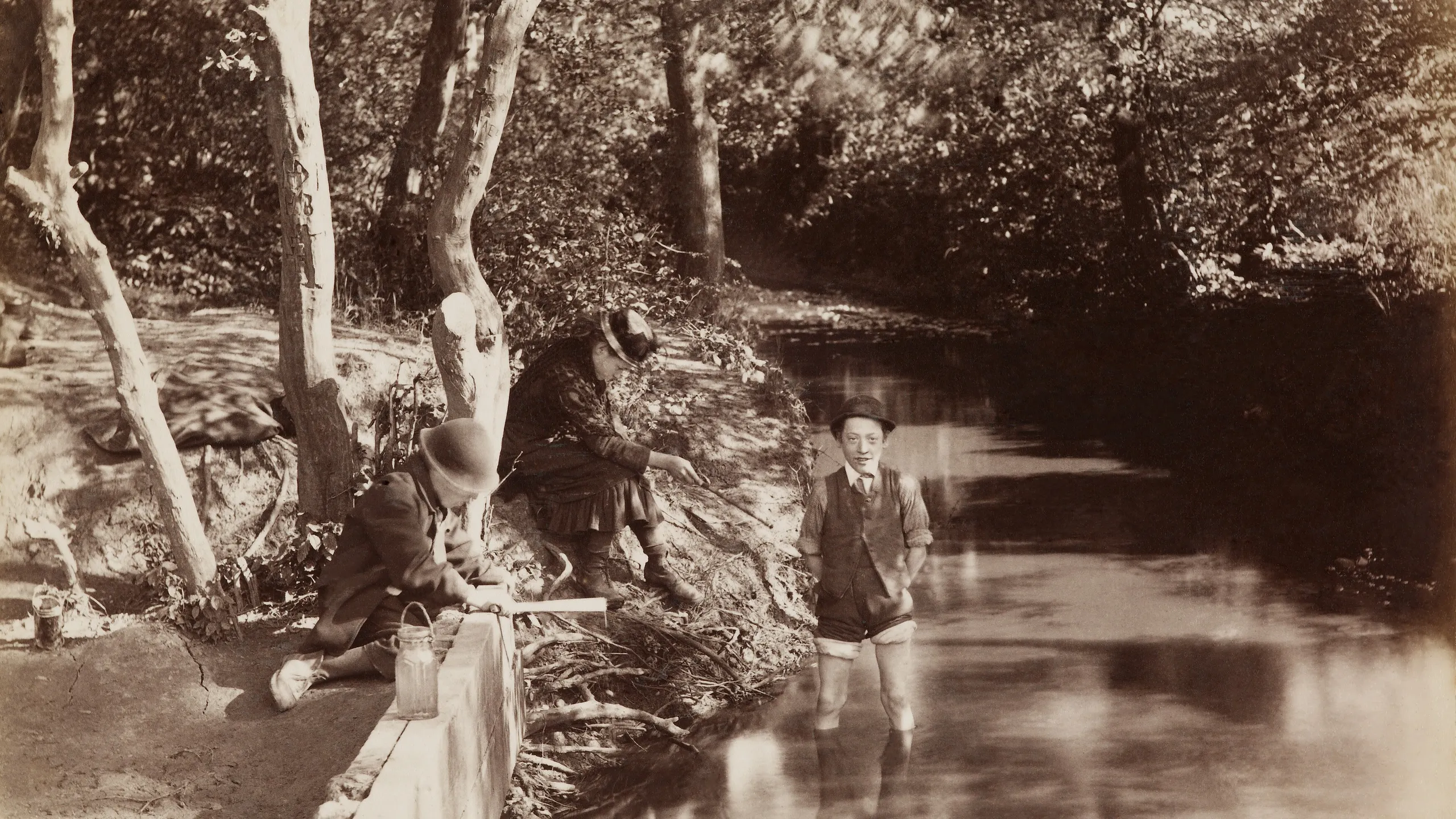 photograph, albumen print
