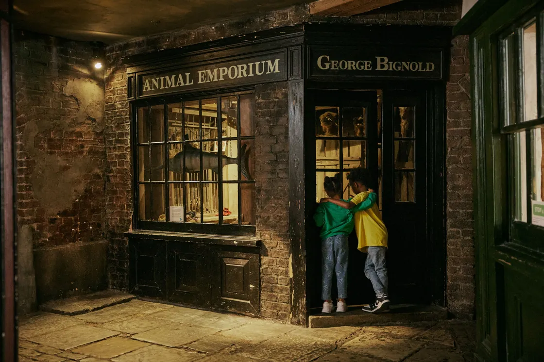 Two children peering into an old-looking shop with 'Animal Emporium' at the top