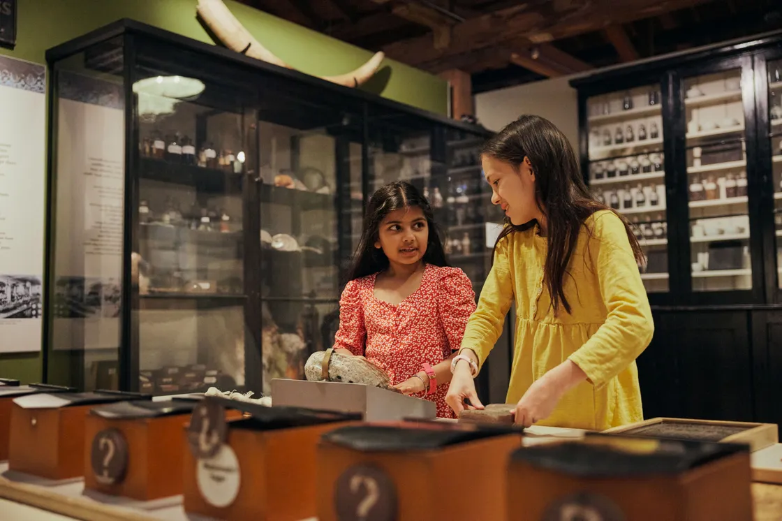 A collection of family images depicting the free-to-visit permanent galleries of the London Museum Docklands, the paid for Mudlarks family gallery and the shop.