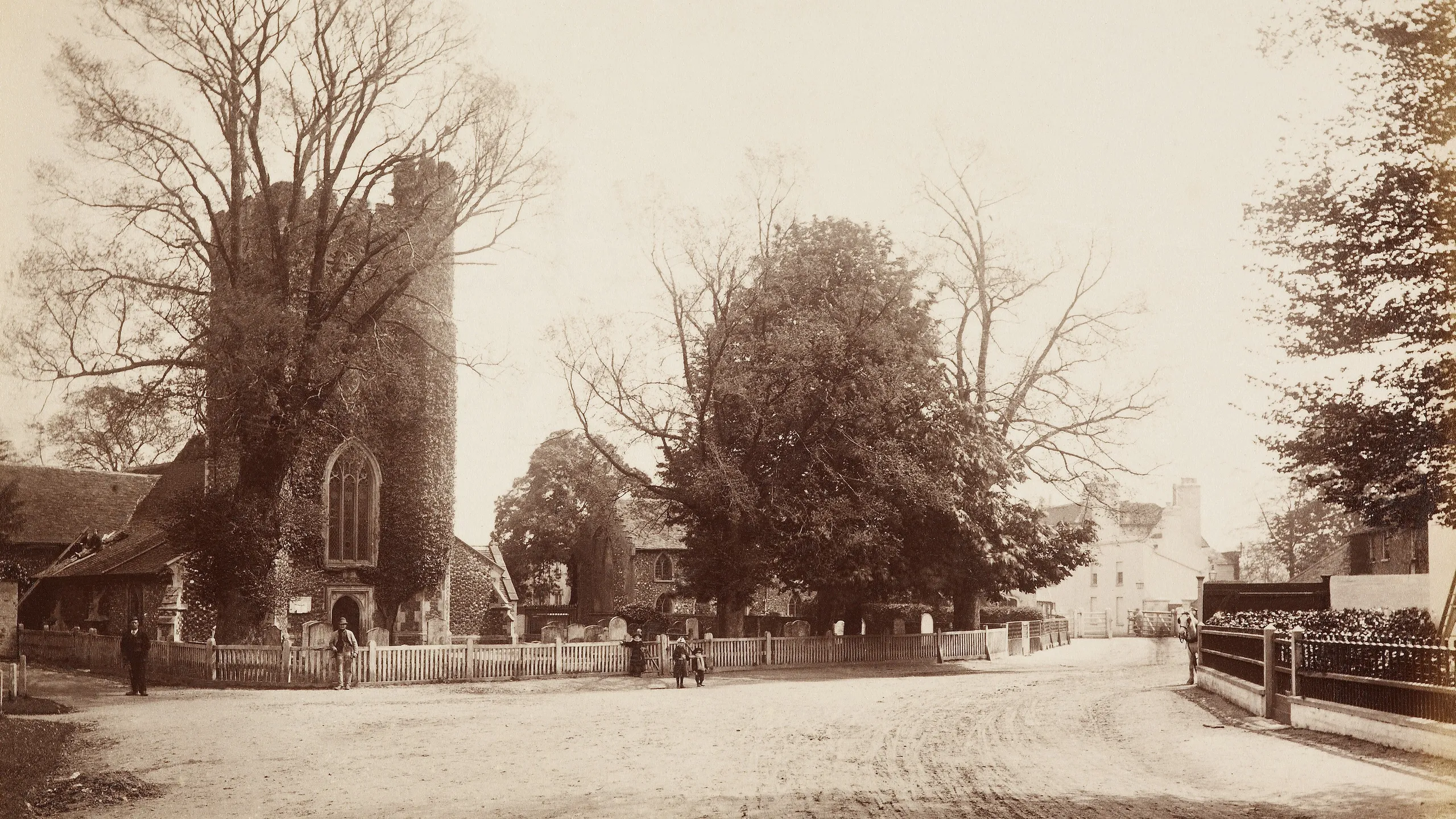 photograph, albumen print