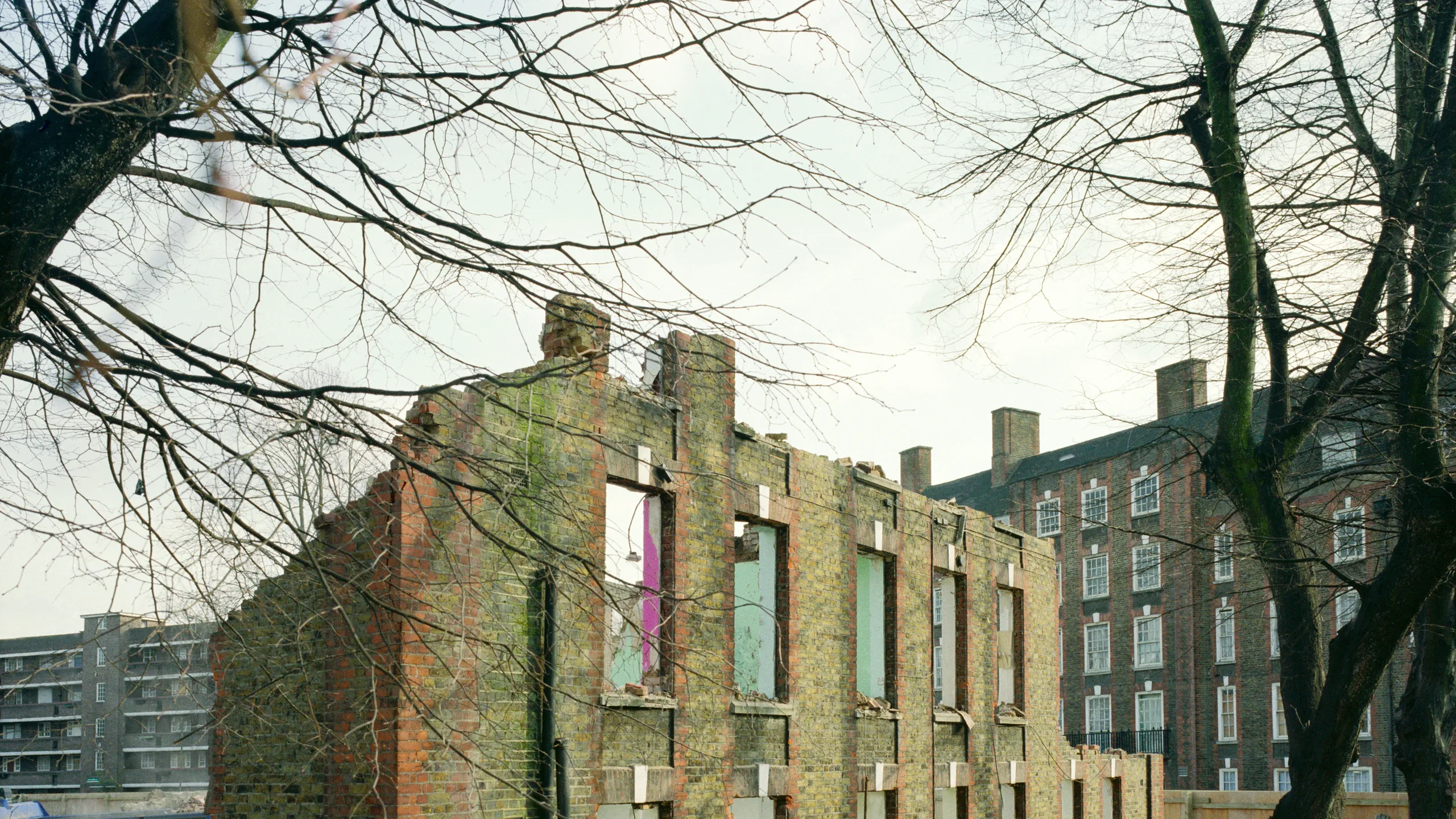 photograph, pigment inkjet print