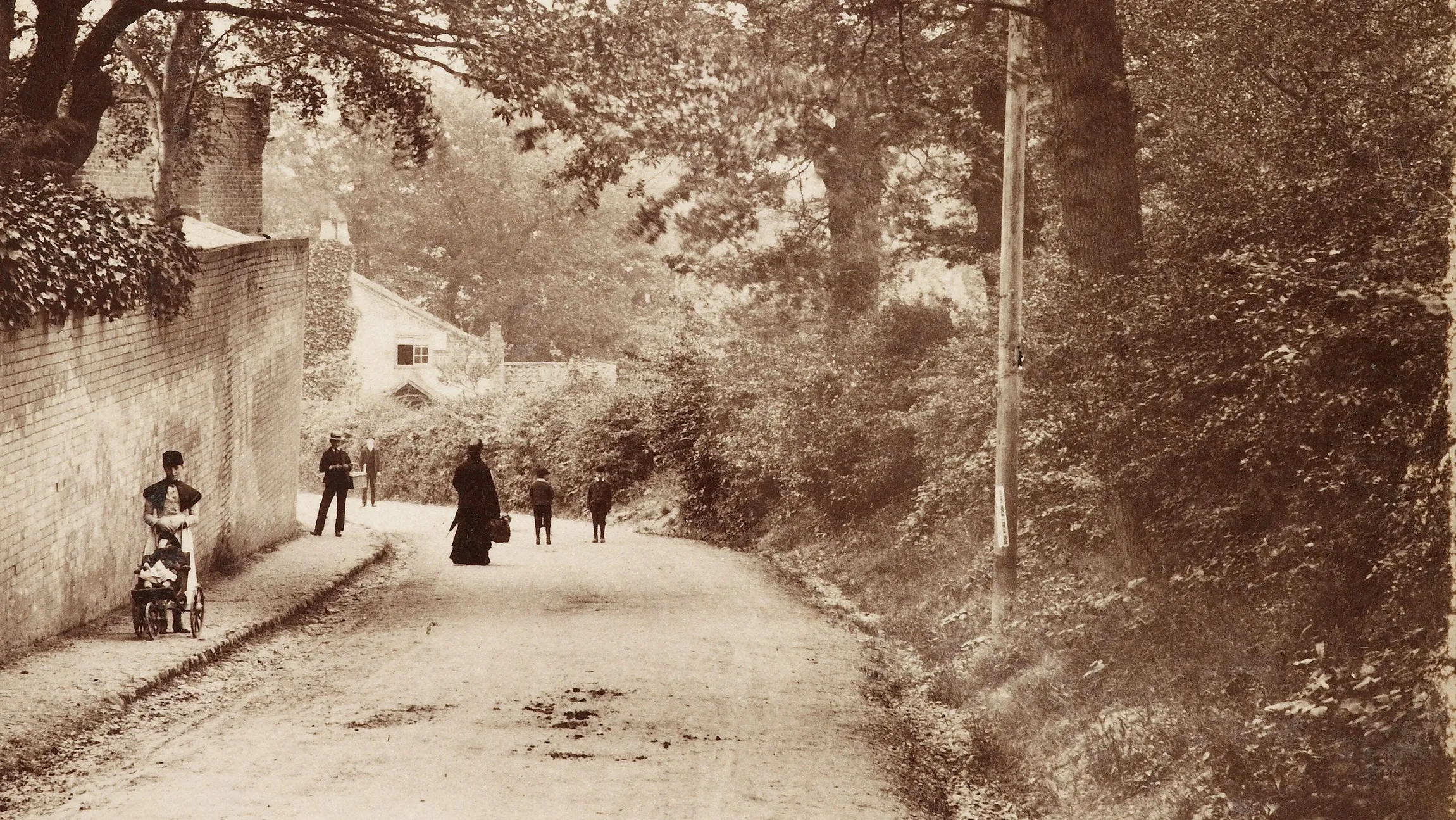 photograph, albumen print