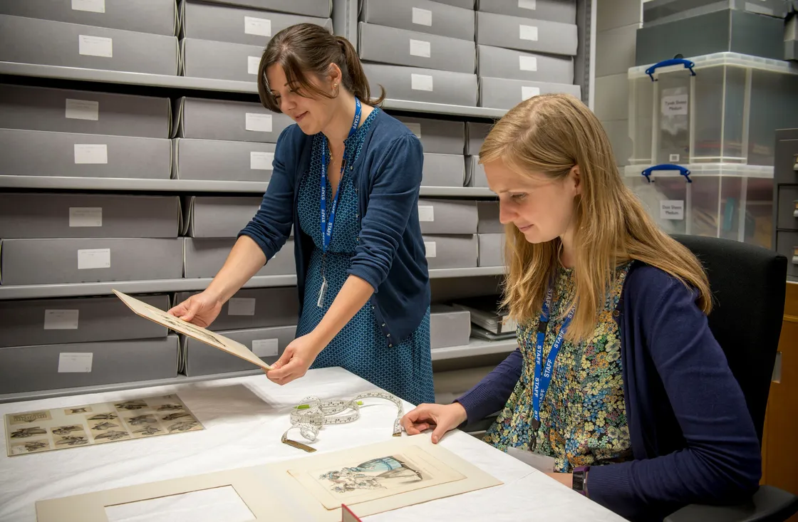Two women examining historical documents and artifacts in a storage room with many labeled drawers.
