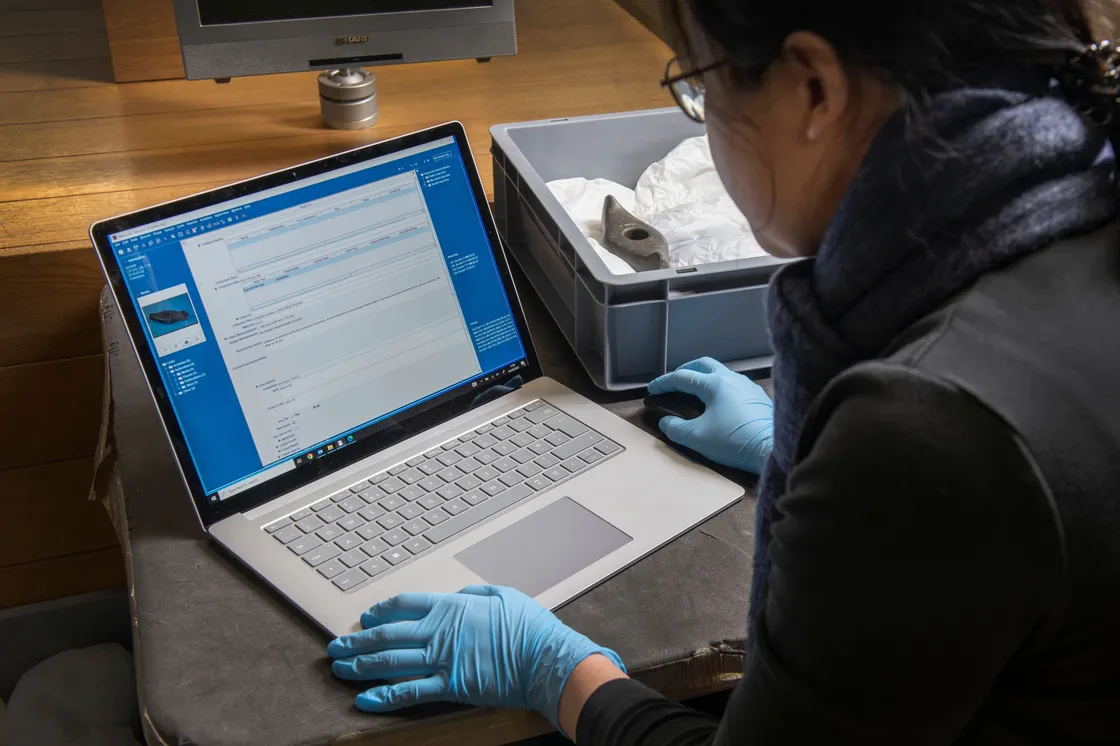The stages of removing, measuring, and storing objects from MOL Galleries ready for audit and preparation for New museum.