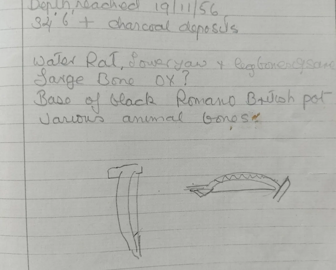 Handwritten notes on lined paper include a list referencing a water rat, ox bones, Roman British pottery, and animal bones, followed by sketches of a bone fragment and a pottery shard.