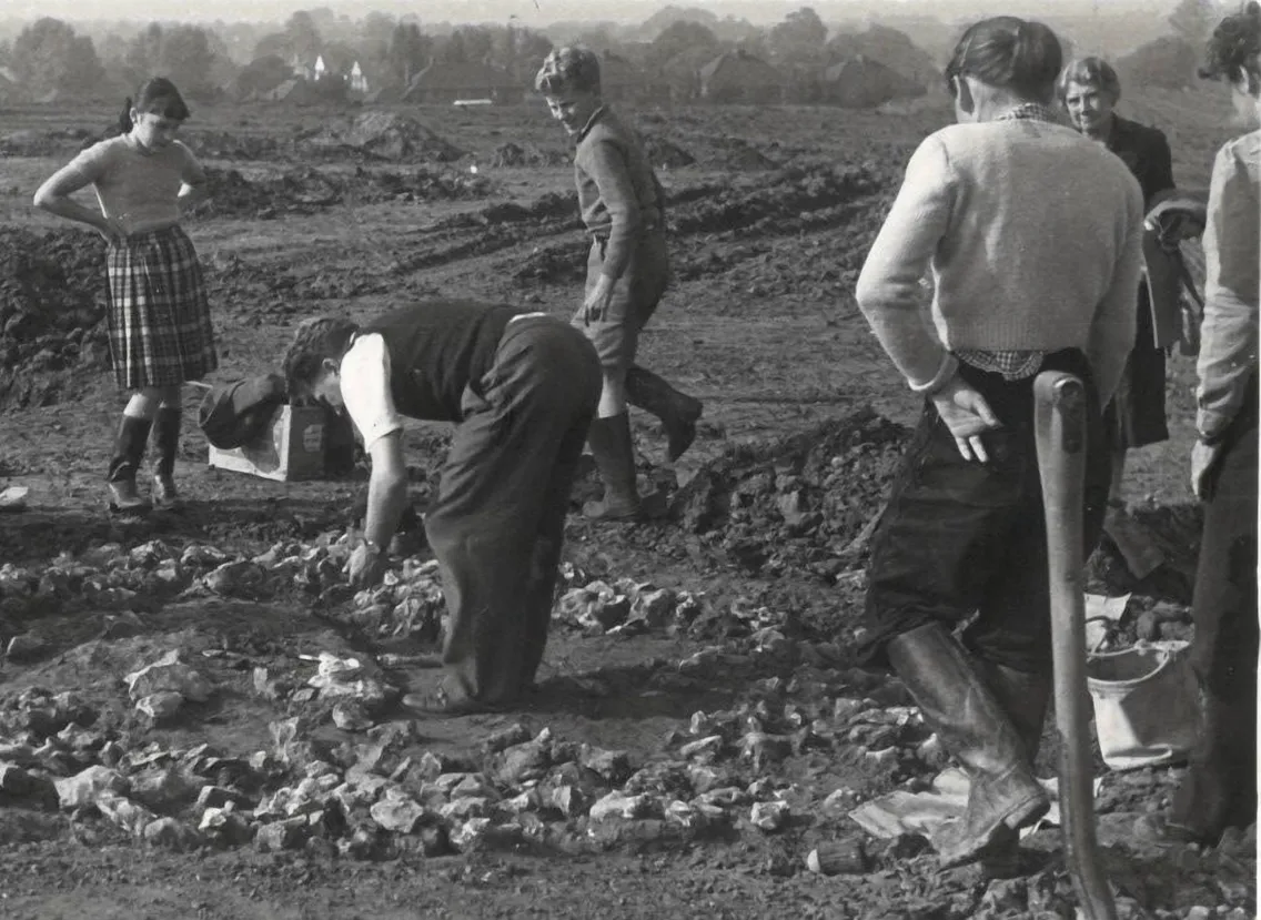 A group of people working outdoors at an archaeological dig site, with some bent over examining the ground and others standing nearby with tools.