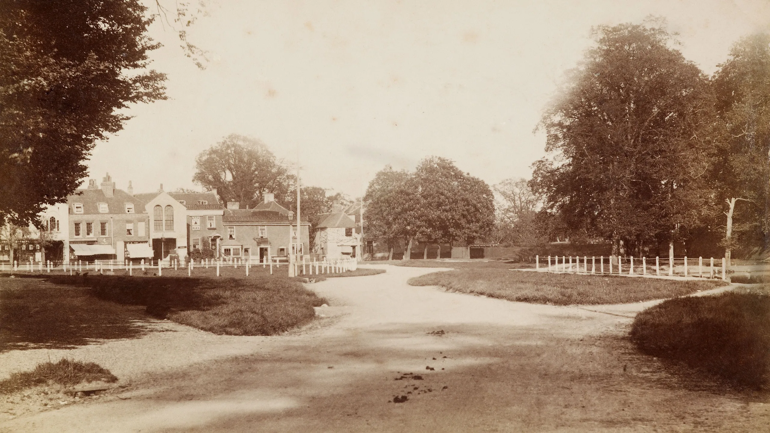 photograph, albumen print