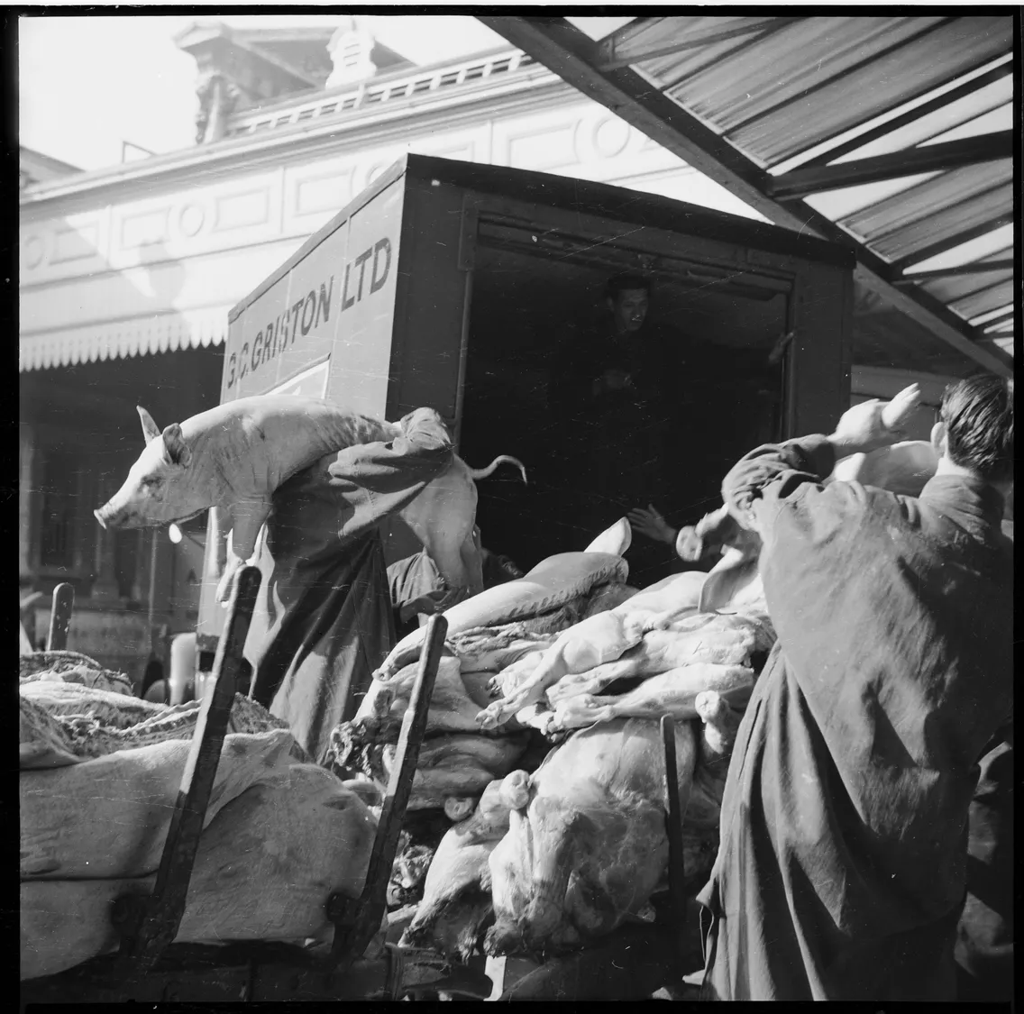 Black and white historical photo of butchered pigs being unloaded from a "j.g. brightson ltd" truck by workers at a market.